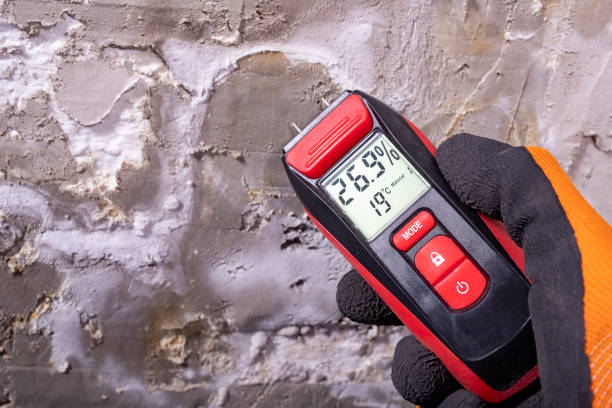 Best Mold Damage Repair  in Union Hill Novelty Hill, WA